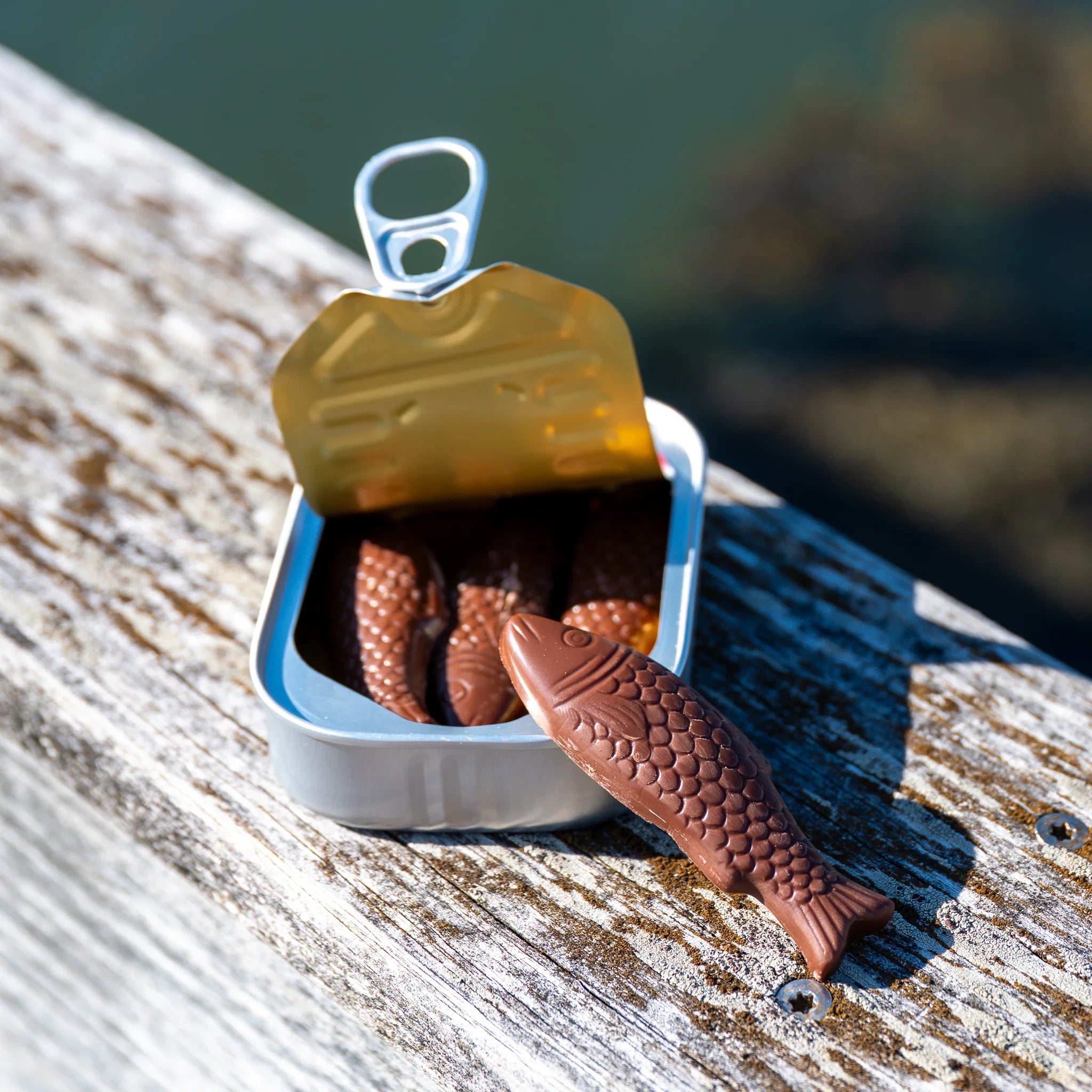 Bixby Milk Chocolate Sardines